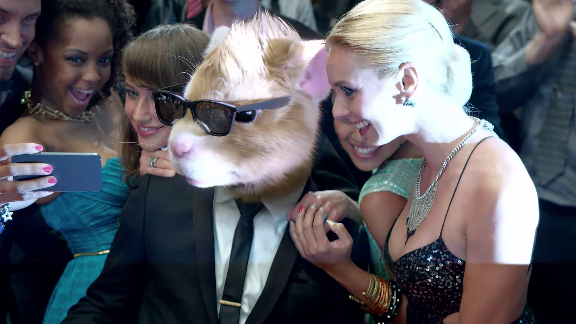 Kia Hamstars 2014